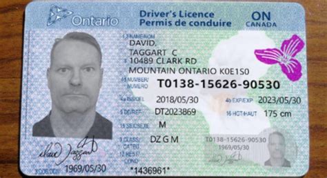 how much are fake ids in toronto